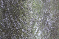 Castledawson fibreglass roof work